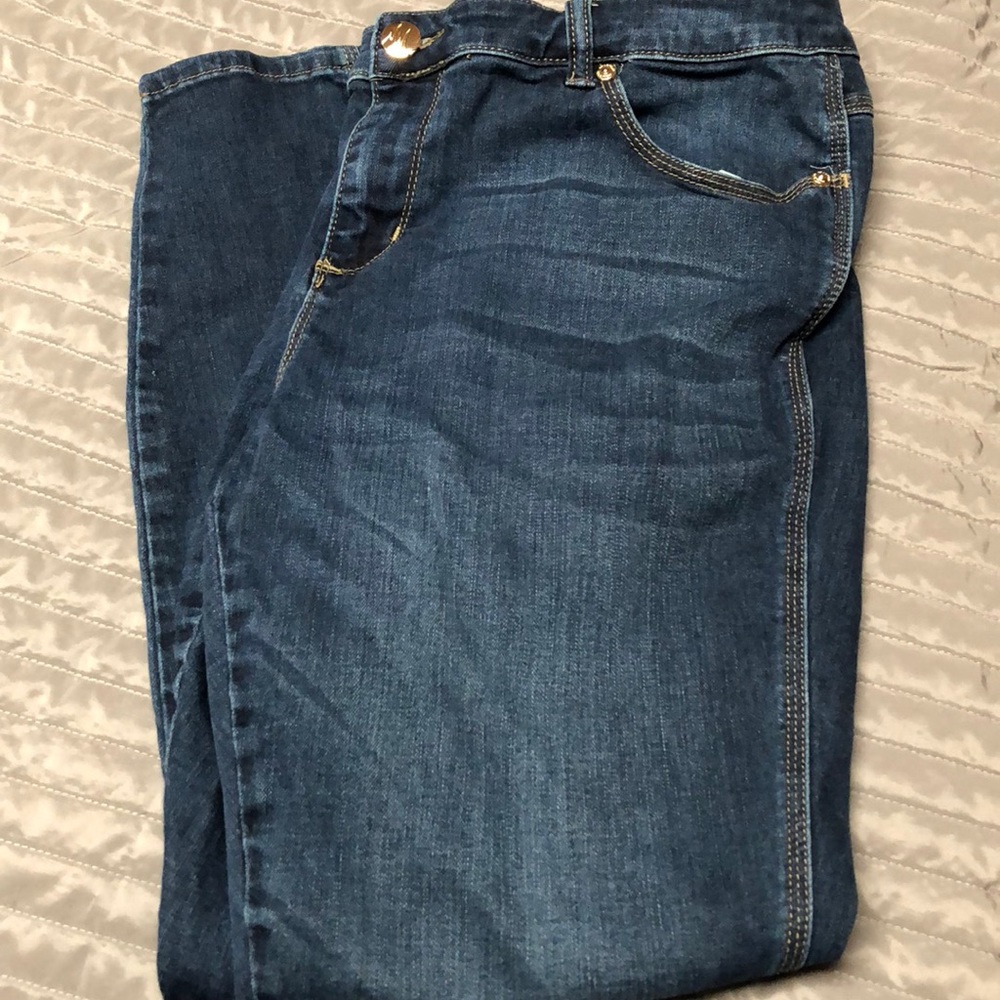 Lane Bryant Melissa McCarthy’s skinny jeans 20w